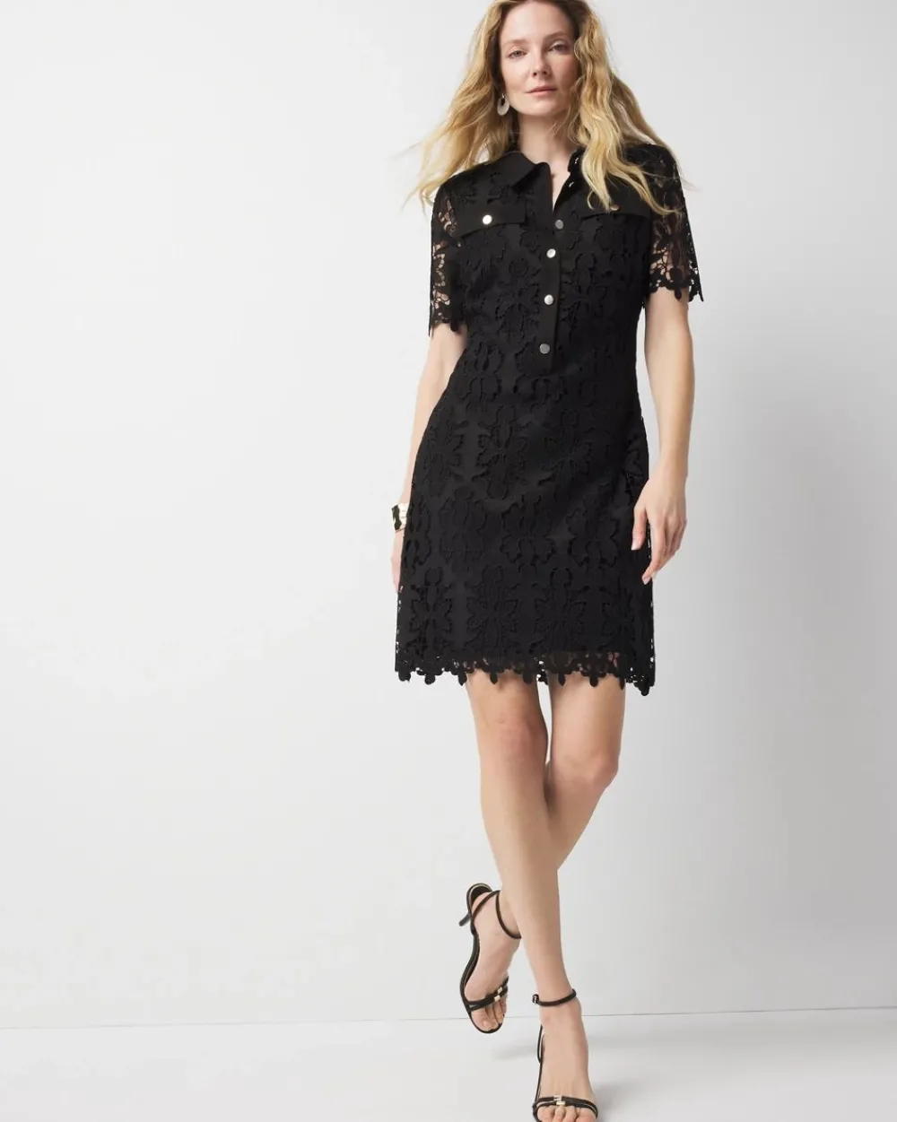 Petite Lace Shirt Dress*White House Black Market Clearance