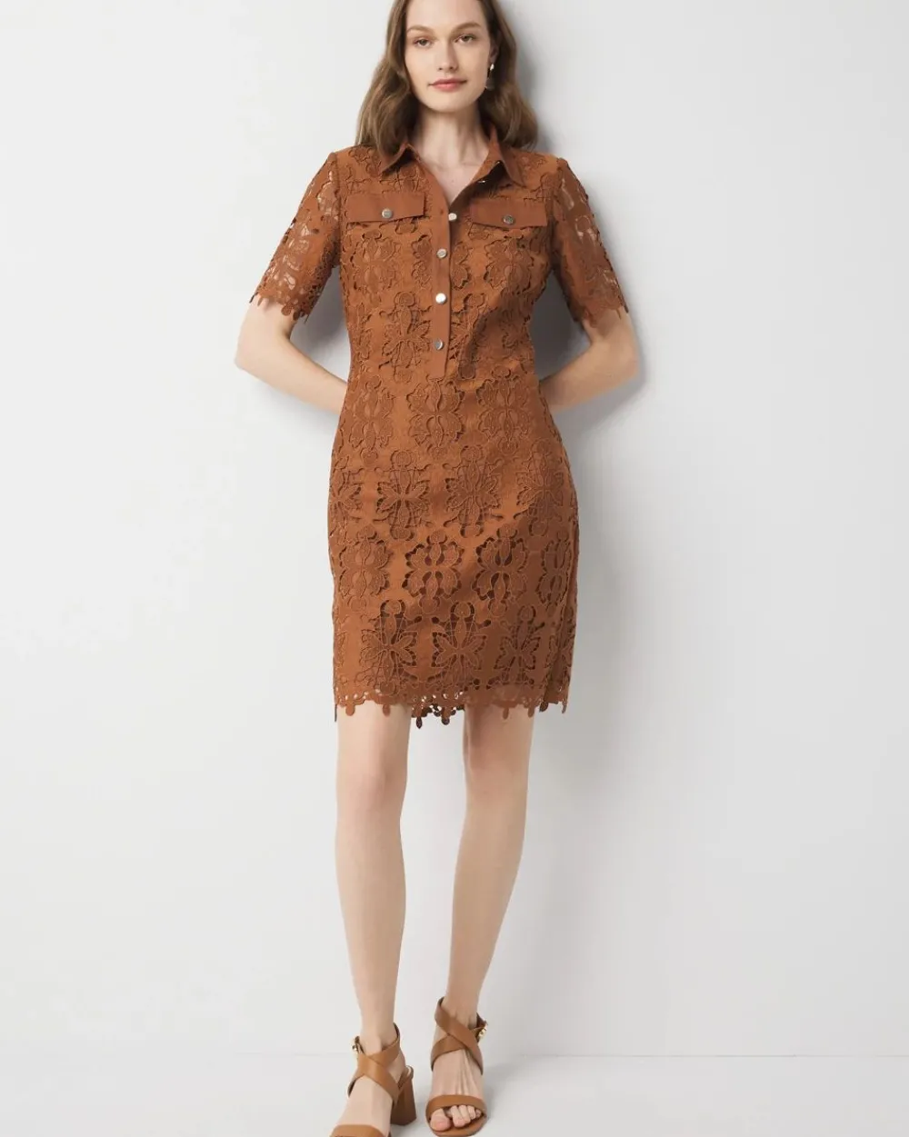 Petite Lace Shirt Dress*White House Black Market Online